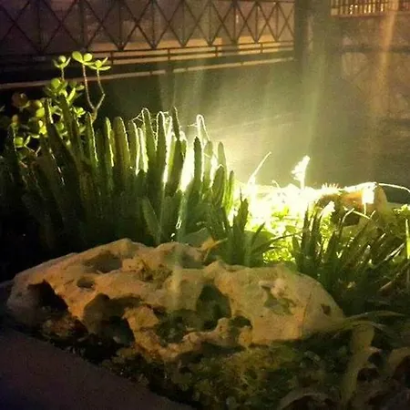 Lo Specchio Del Salento Alojamento de Acomodação e Pequeno-almoço